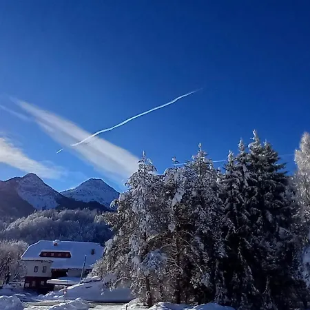 Dingding Unteraichwald