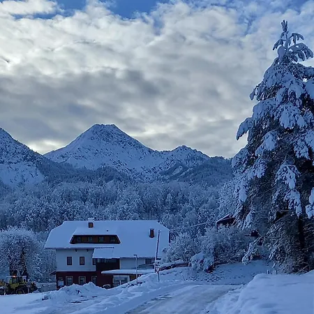 Dingding Unteraichwald