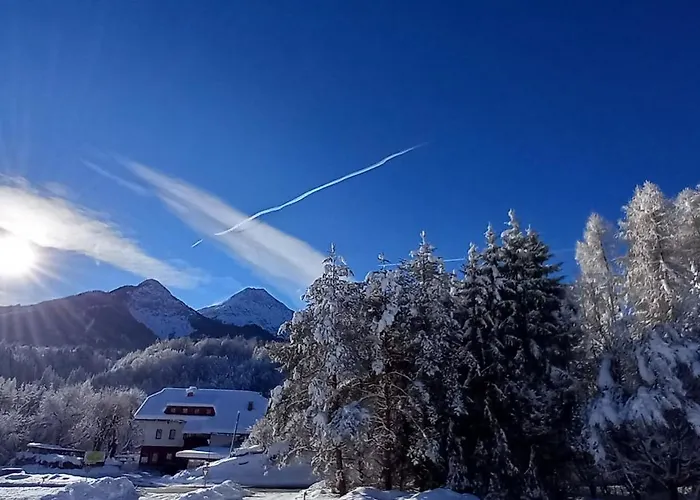 Dingding Unteraichwald