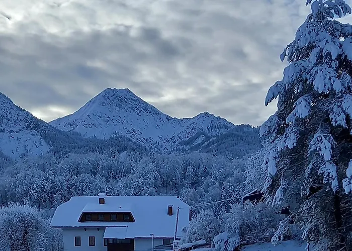 Dingding Unteraichwald